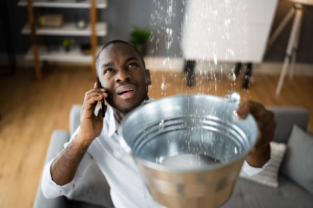 Best Flood restoration services  in Roseto, PA