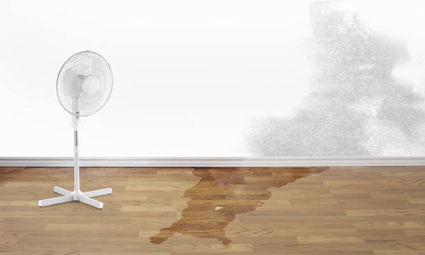 Best Water damage restoration services  in Roseto, PA