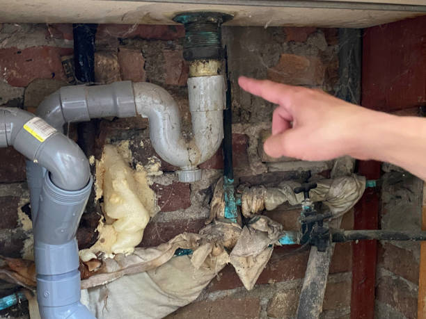 Best Fire Damage Restoration  in Roseto, PA